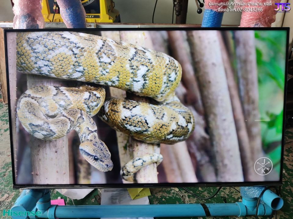 ทีวี 50 นิ้ว รุ่น 50B7500 4K Smart TV