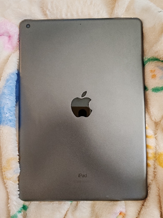 Ipad Gen 9 256GB WIFI + APPLE PENCIL