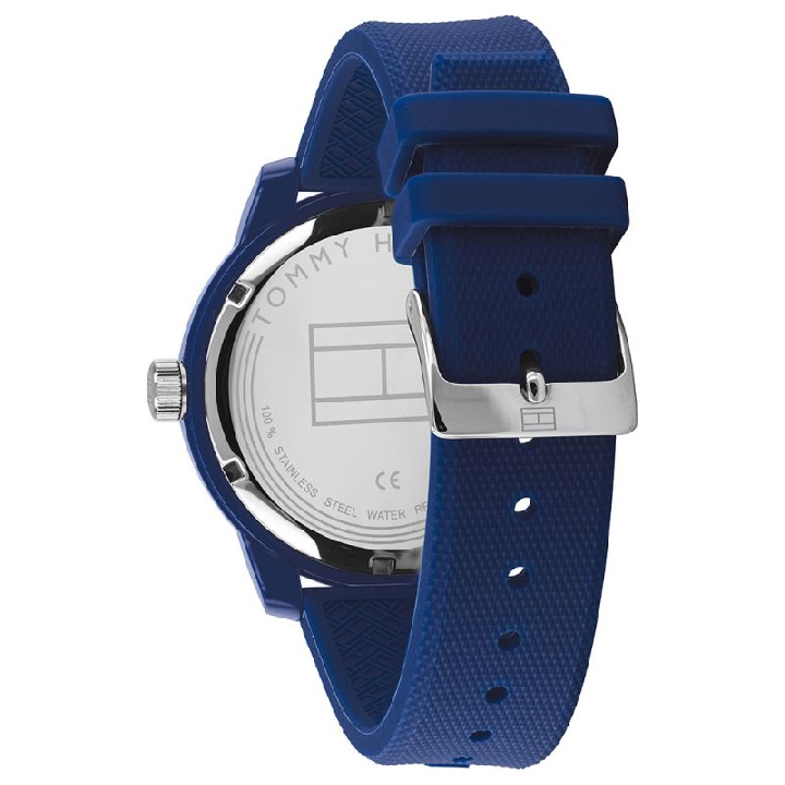 Tommy Hilfiger Men Blue TH1791745 Analogue Watch