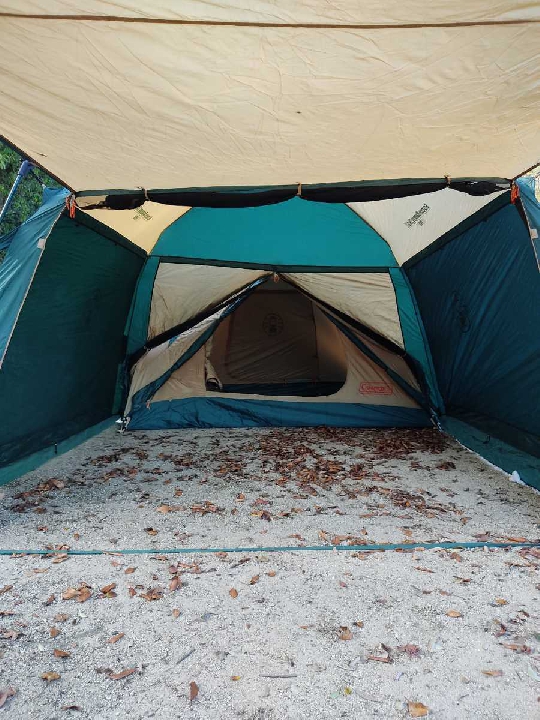 เต็นท์ ญี่ปุ่น Coleman coleman Screen Canopy TarpⅡ