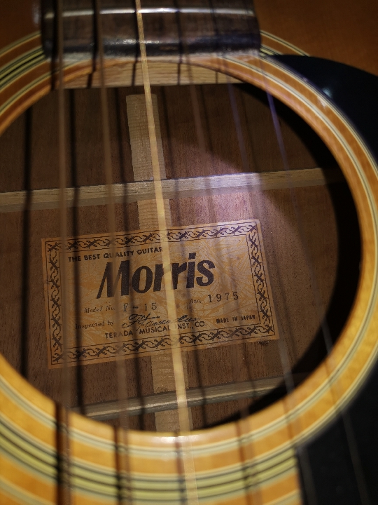 กีต้าร์โปร่ง morris f-15