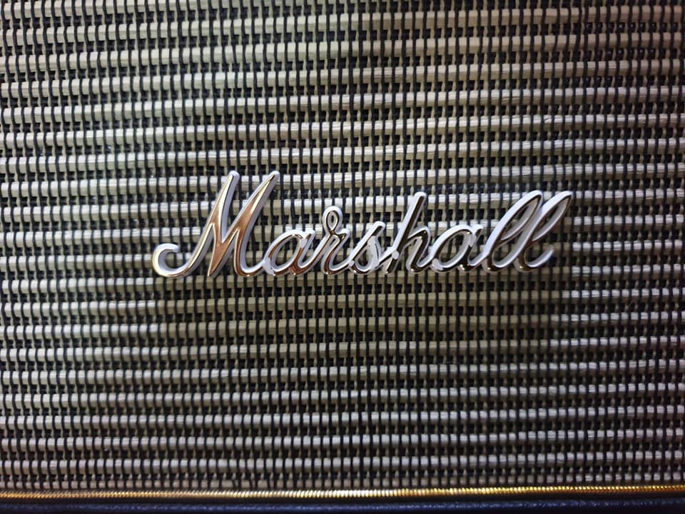 ขาย fender Newport