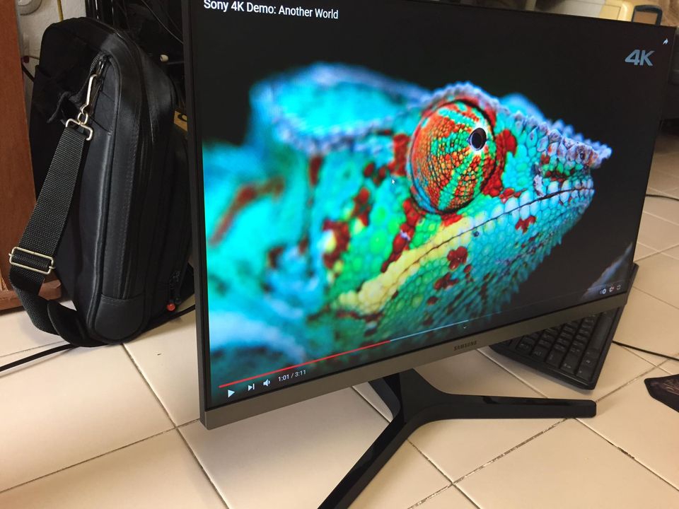 Monitor 23.8" SAMSUNG LS24R350FHEXXT (IPS, HDMI) 75Hz
