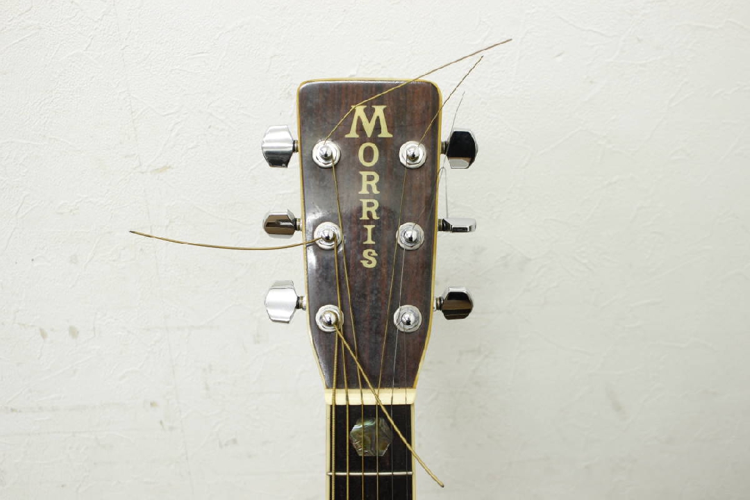 กีต้าร์โปร่ง Junk Morris WM-40