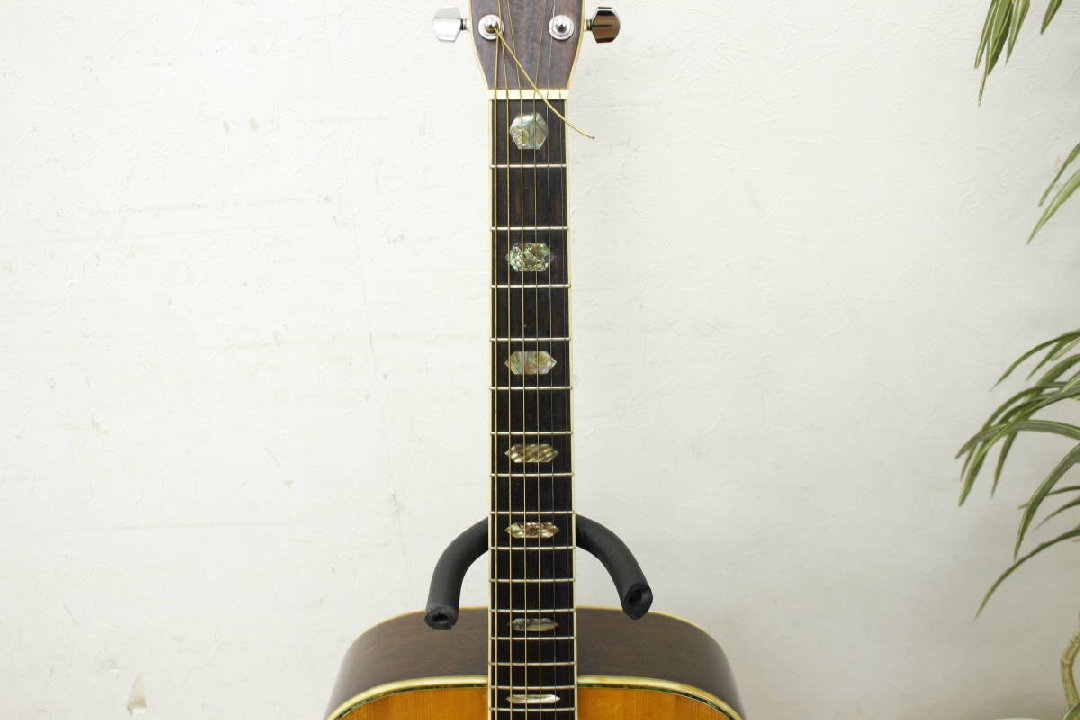 กีต้าร์โปร่ง Junk Morris WM-40