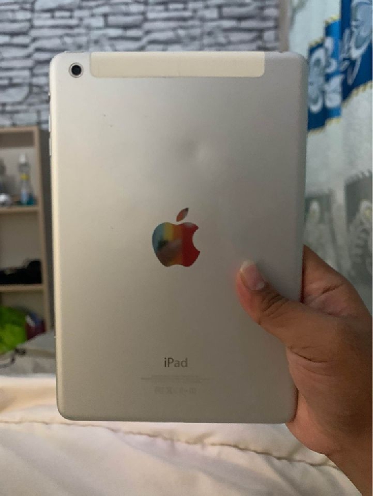 ipad mini1