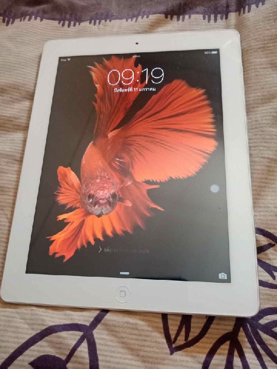 iPad 3 16 G