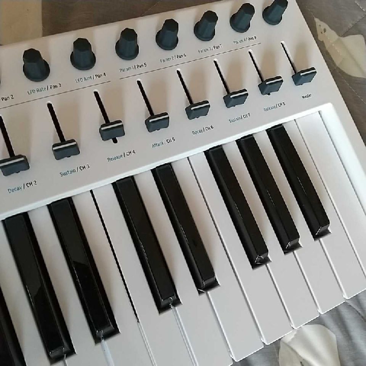 คีย์บอร์ดดนตรี midi arturia keylab 49 essentials