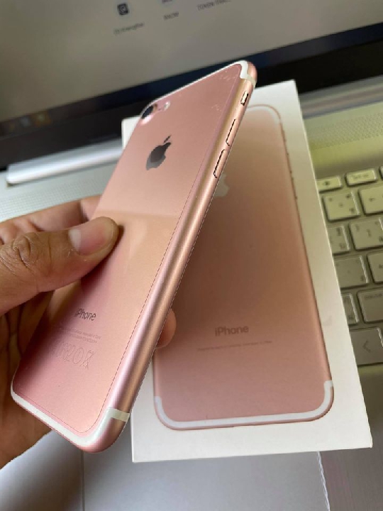 iPhone 7 สี Rose