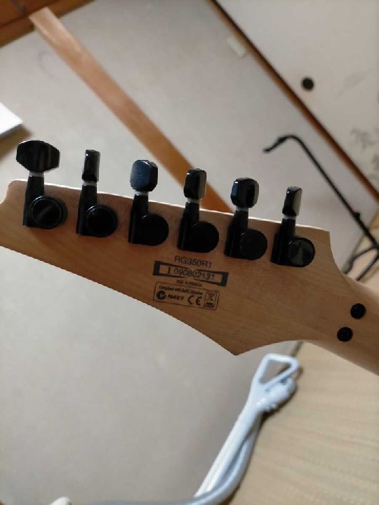 กีต้าร์ไฟฟ้า Ibanez RG350R1