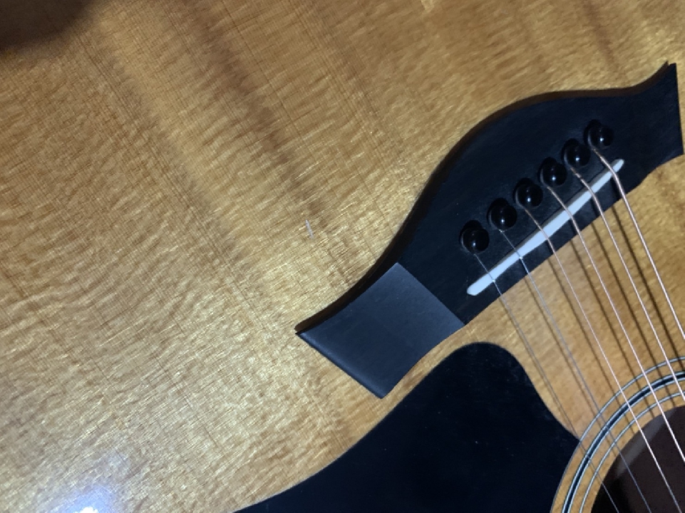 Taylor Model 314 + Hard Case