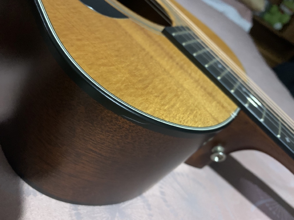 Taylor Model 314 + Hard Case