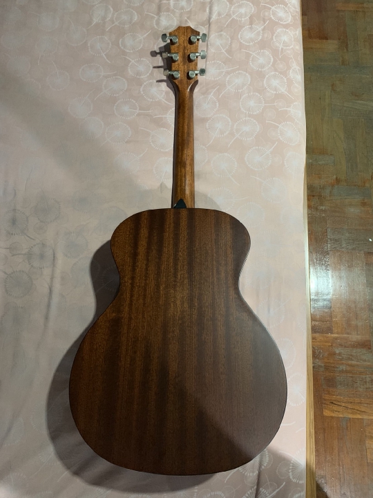 Taylor Model 314 + Hard Case