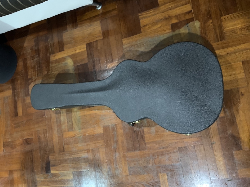 Taylor Model 314 + Hard Case