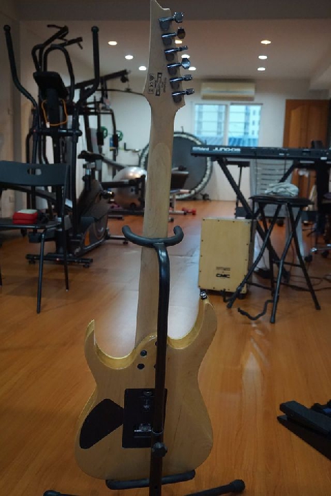 กีต้าร์ไฟฟ้า Ibanez RG370AHMZ-1P-01