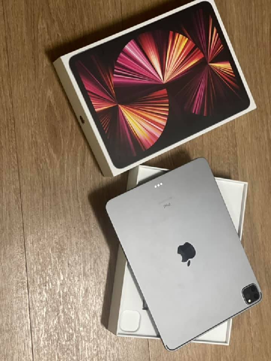 iPad  pro  2021  265g