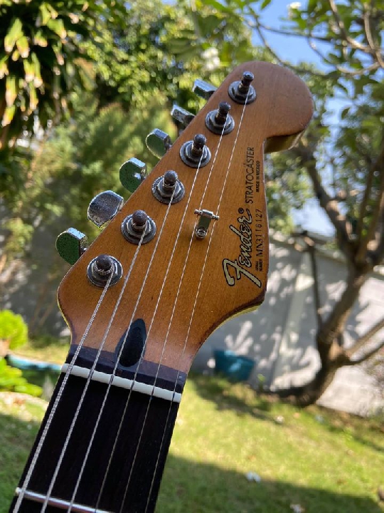 Fender Maxico