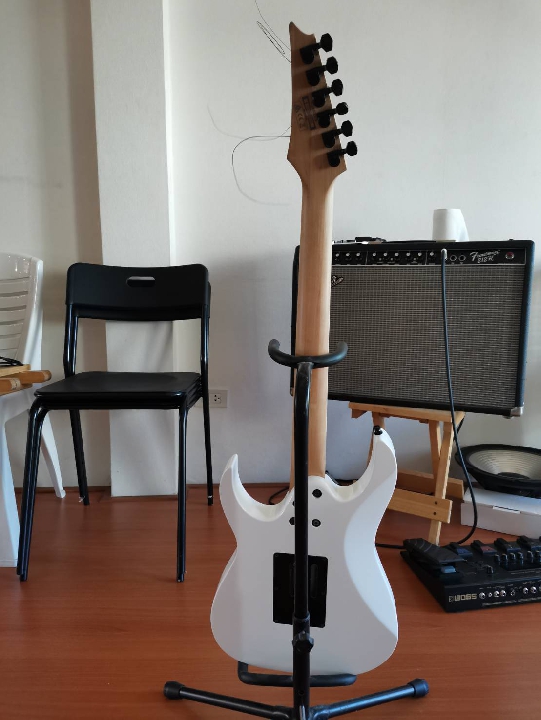 กีตาร์ไฟฟ้า ibanez RG350DX