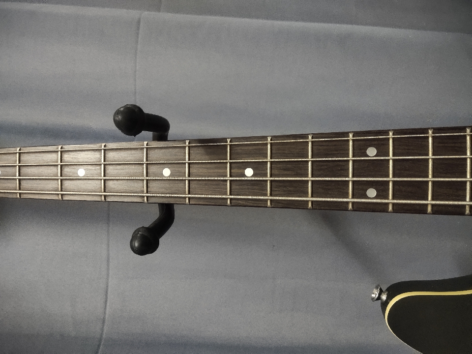 เบส sire v3 beauty Marcus Miller