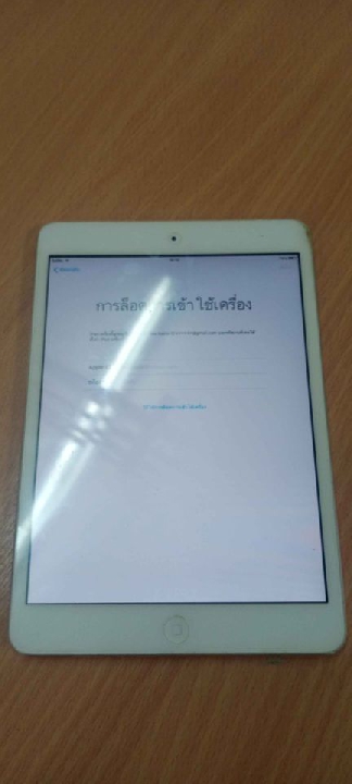 Ipad mini