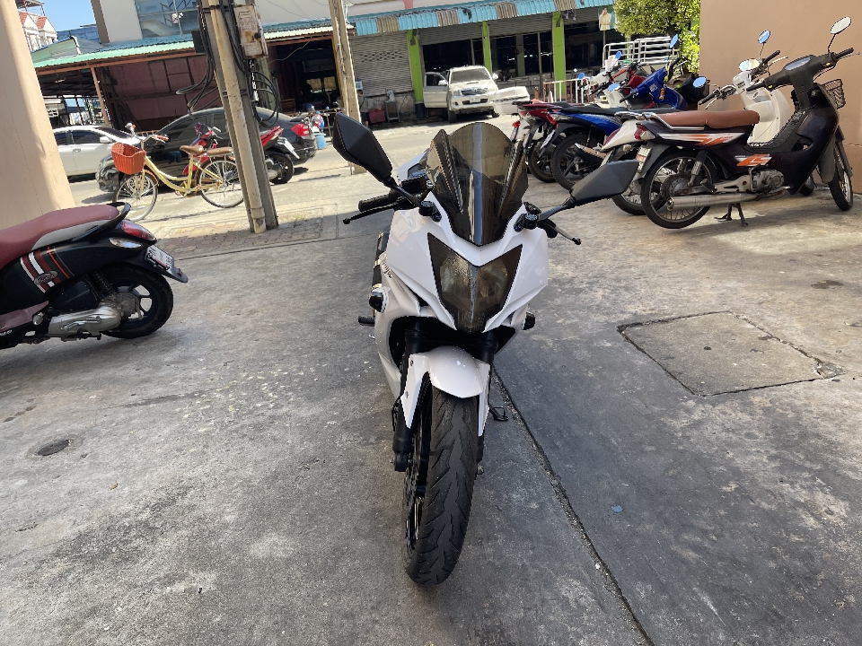 Ninja250