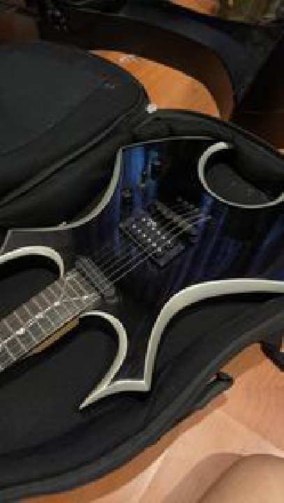 virgo b.c.rich special edition