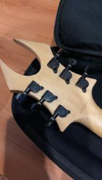virgo b.c.rich special edition